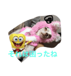 ユメの毎日（個別スタンプ：7）