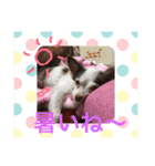ユメの毎日（個別スタンプ：12）