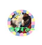 ユメの毎日（個別スタンプ：13）