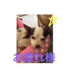 ユメの毎日（個別スタンプ：16）