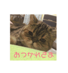 我が家のうまた（個別スタンプ：8）