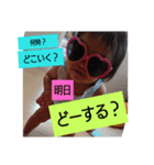 みはな、初すたんぷ（個別スタンプ：4）