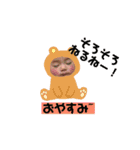 あやめさんとぽんきちの日常1歳4ヶ月まで（個別スタンプ：4）