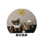 もこ＆らむね（個別スタンプ：15）