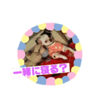 チワワのポティロン（個別スタンプ：7）