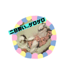 チワワのポティロン（個別スタンプ：24）