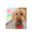 ニコとぷ〜すけ（個別スタンプ：1）