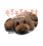 ニコとぷ〜すけ（個別スタンプ：2）