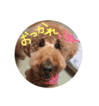 ニコとぷ〜すけ（個別スタンプ：4）