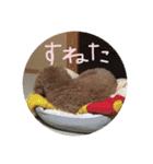 ニコとぷ〜すけ（個別スタンプ：6）