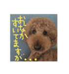 ニコとぷ〜すけ（個別スタンプ：7）