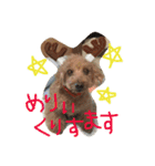 ニコとぷ〜すけ（個別スタンプ：9）