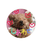 ニコとぷ〜すけ（個別スタンプ：12）