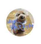 ニコとぷ〜すけ（個別スタンプ：16）