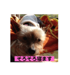 モモだーー（個別スタンプ：5）