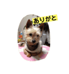 モモだーー（個別スタンプ：7）