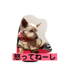 モモだーー（個別スタンプ：8）