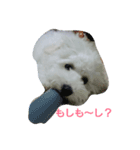 ココン日和（個別スタンプ：6）