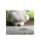 ココン日和（個別スタンプ：7）