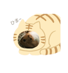 モルスター（個別スタンプ：7）