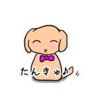 ゆるゆるミニチュアダックス手書きスタンプ（個別スタンプ：19）