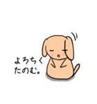 ゆるゆるミニチュアダックス手書きスタンプ（個別スタンプ：21）