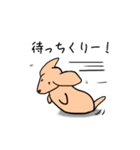 ゆるゆるミニチュアダックス手書きスタンプ（個別スタンプ：33）