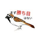 タンタンザルと霊龍（個別スタンプ：8）