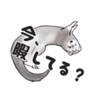 シルバーミットのスタンプ（個別スタンプ：8）