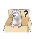 シルバーミットのスタンプ（個別スタンプ：10）