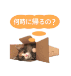 ひまわりちゃん♡スタンプ（個別スタンプ：23）