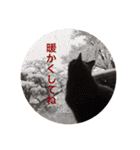 ロシアンブルーのアズさん（個別スタンプ：37）