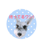 エースとポンズ（個別スタンプ：4）