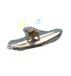 コーギーのコロンちゃんと仲間たち（個別スタンプ：4）