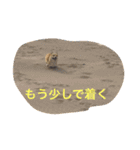 コーギーのコロンちゃんと仲間たち（個別スタンプ：12）
