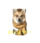 コーギーのコロンちゃんと仲間たち（個別スタンプ：19）