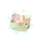 アイちゃんで～す（個別スタンプ：3）