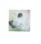 アイちゃんで～す（個別スタンプ：7）