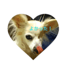 アイちゃんで～す（個別スタンプ：8）