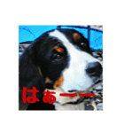 スローな1日犬編2（個別スタンプ：3）
