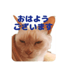 おうちにおいでスタンプ1（個別スタンプ：3）