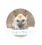 怖がりならっきーくん（個別スタンプ：7）