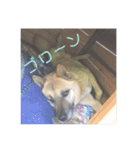 怖がりならっきーくん（個別スタンプ：10）