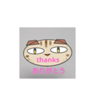 マサスコ（個別スタンプ：1）