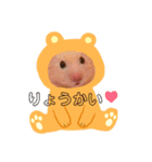 きんくまの のんちゃんスタンプ（個別スタンプ：1）