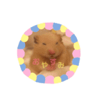 きんくまの のんちゃんスタンプ（個別スタンプ：2）