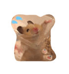 きんくまの のんちゃんスタンプ（個別スタンプ：3）