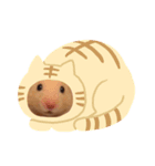 きんくまの のんちゃんスタンプ（個別スタンプ：7）