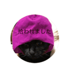 のらぼんゆずみるたま（個別スタンプ：7）