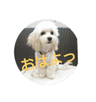 むぎのかわいいスタンプ（個別スタンプ：1）